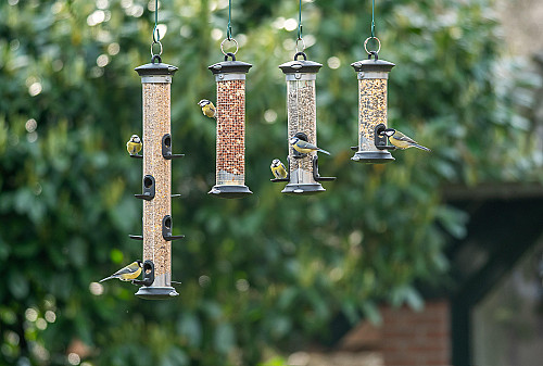 Apollo feeder range
