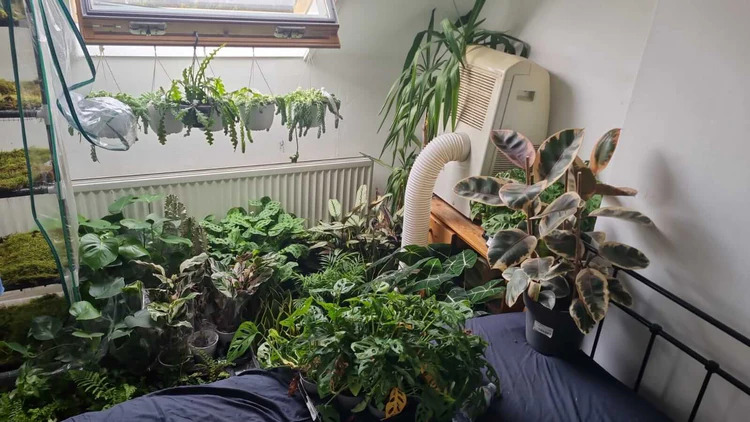 À 25 ans, Sybren transforme sa passion pour les plantes en une entreprise à plusieurs millions d’euros grâce à des terreaux durables
