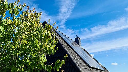 Bijna helft Nederlanders vindt groene stroom niet belangrijk